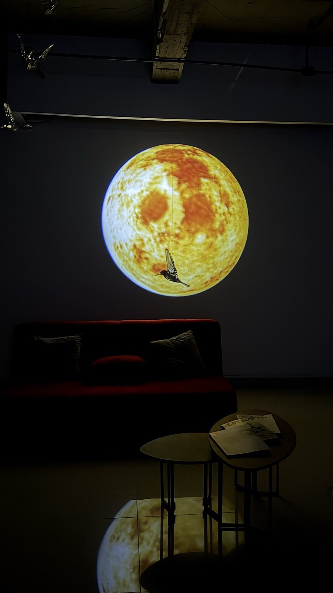 Luna proyectada sobre fondo oscuro